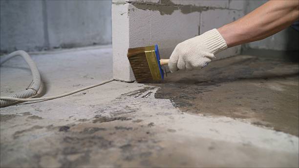 SJ Waterproofing Pros Waterproofing coverage map for Weidman, MI and surrounding area